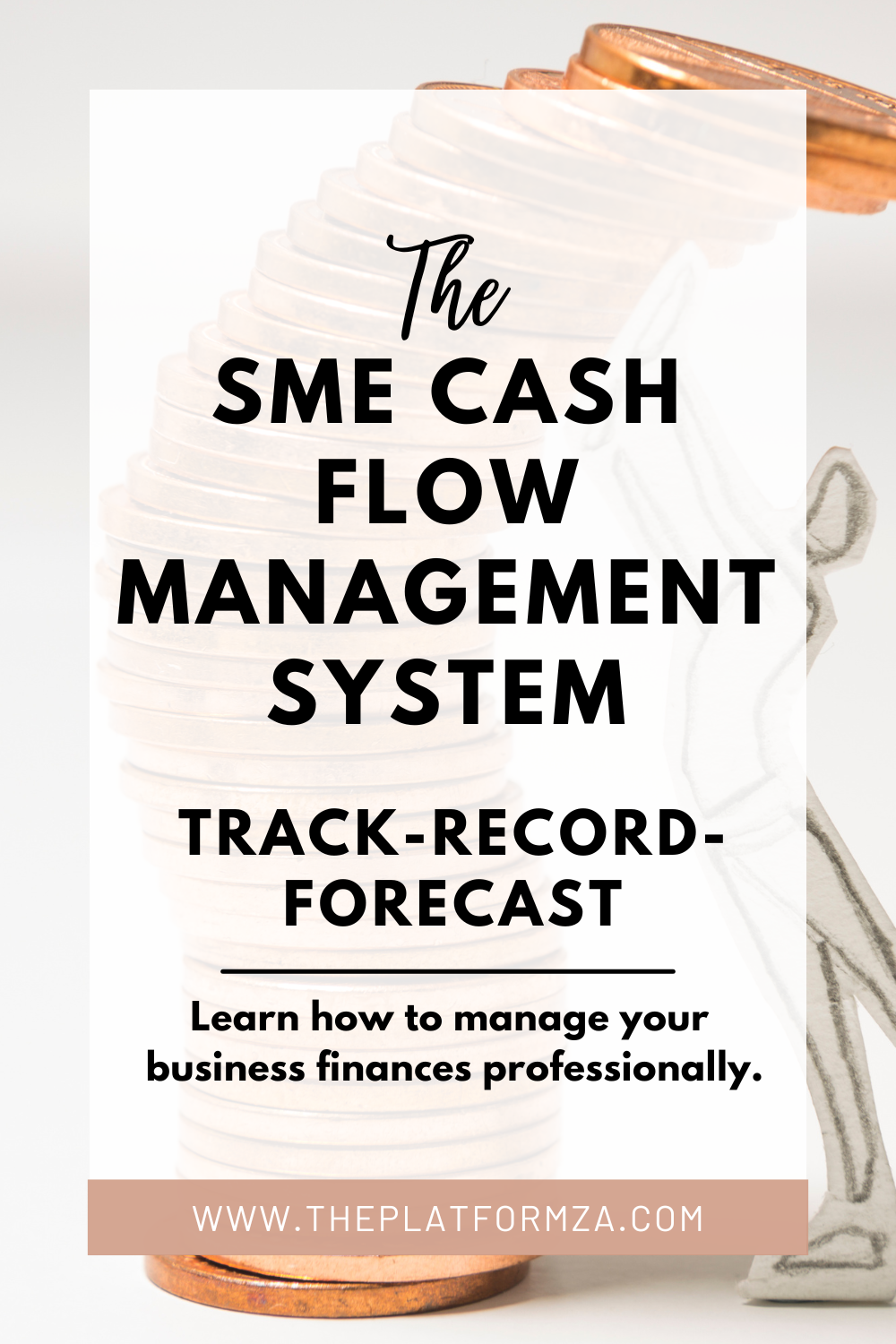 SME Cash Flow Management System | Financial Dashboard & Forecasting Toolkit
