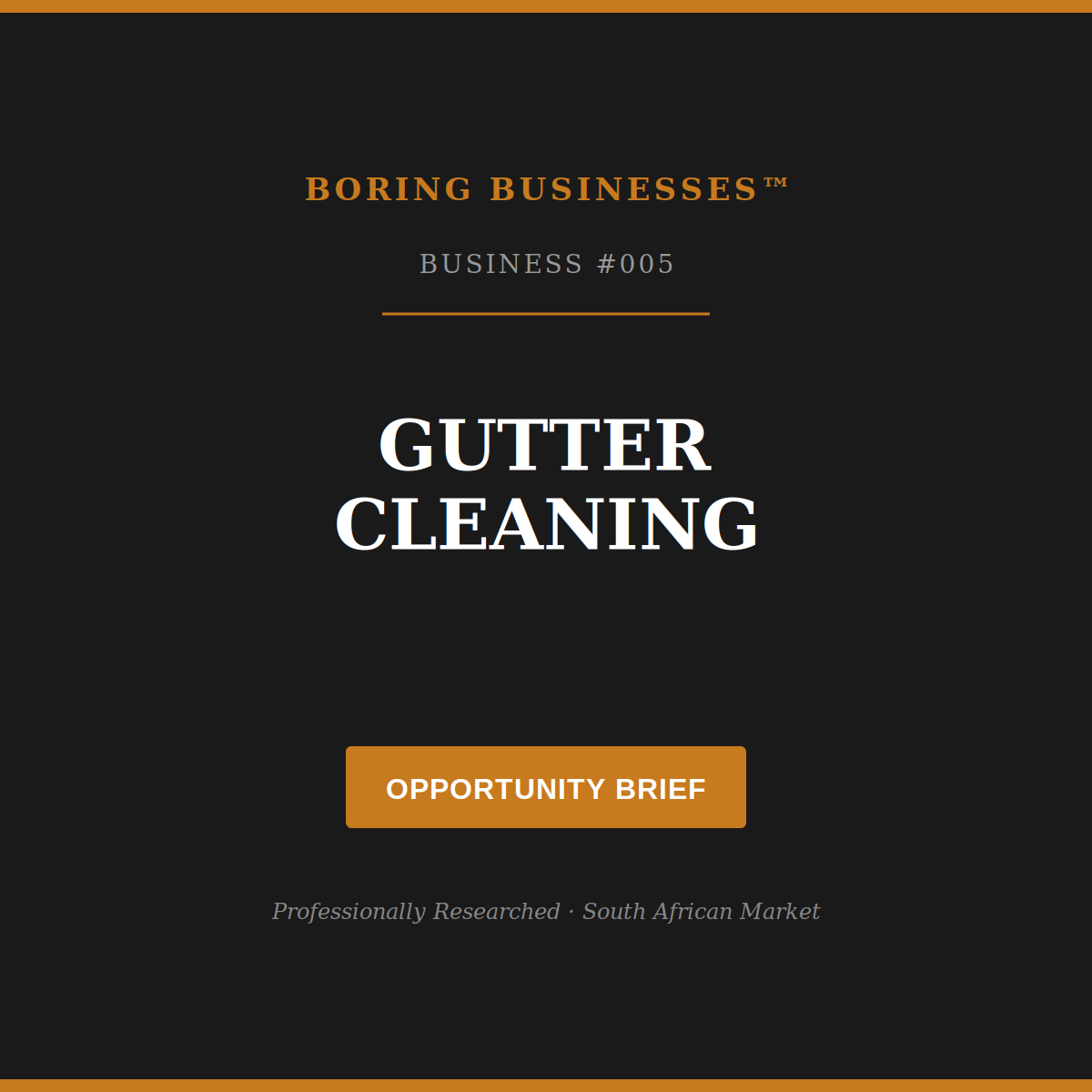 Boring Business #005: Gutter Cleaning — Opportunity Brief